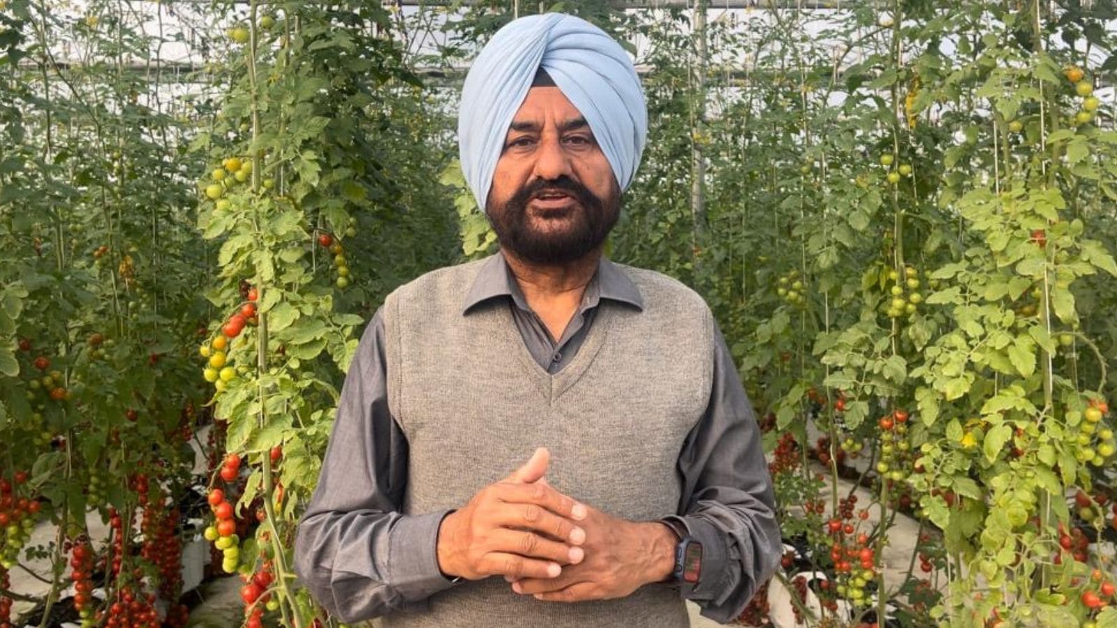 , From bureaucrat to agri-tech pioneer, how Hardip Singh Kingra is sowing change ‘in a suit and tie’ without using soil for farming, Sahara Groundwater