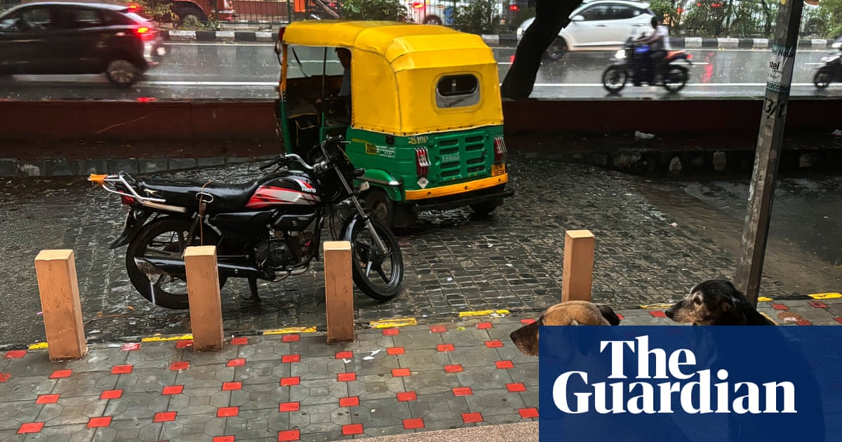 , Indian court orders removal of thousands of stray dogs from Delhi region, Sahara Groundwater